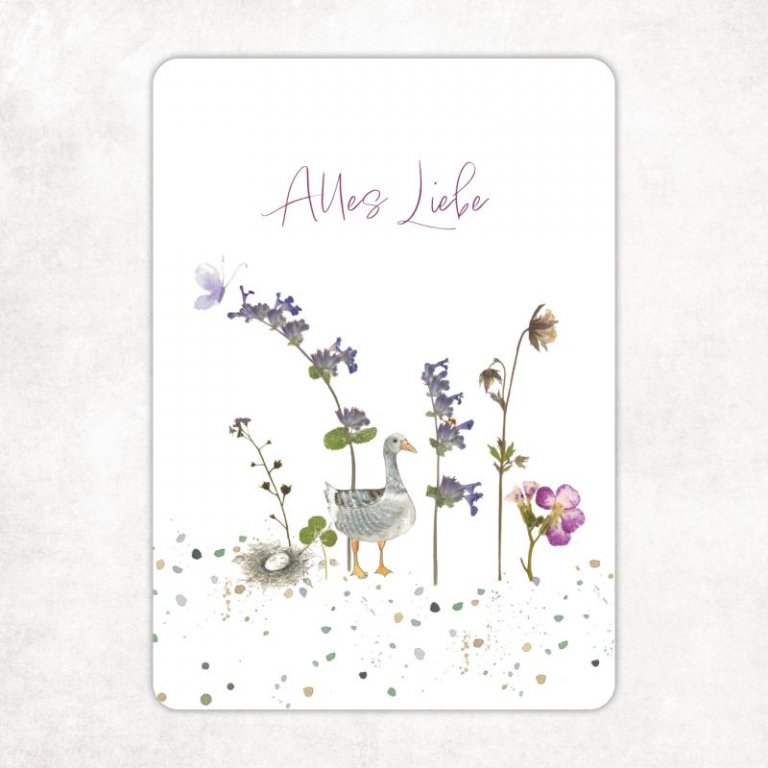 postkarte a6 gans alles liebe acufactum naehzimmer mit herz onlineshop